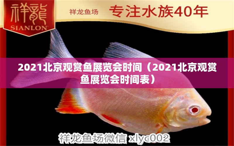 2021北京观赏鱼展览会时间（2021北京观赏鱼展览会时间表）