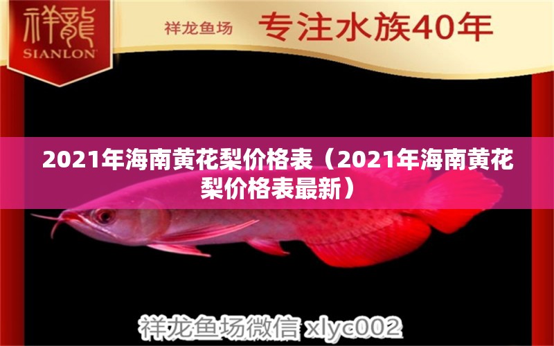 2021年海南黄花梨价格表（2021年海南黄花梨价格表最新）