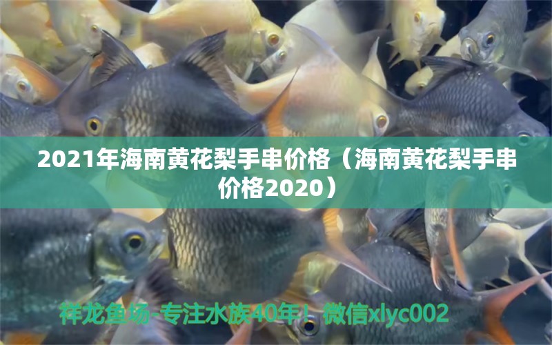 2021年海南黄花梨手串价格（海南黄花梨手串价格2020）