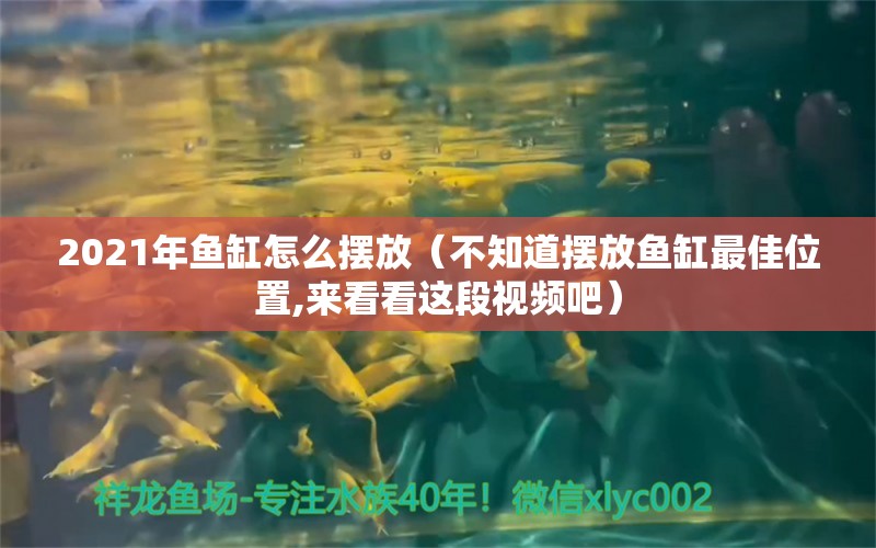 2021年鱼缸怎么摆放（不知道摆放鱼缸最佳位置,来看看这段视频吧） 祥龙水族医院