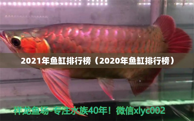 2021年鱼缸排行榜（2020年鱼缸排行榜）