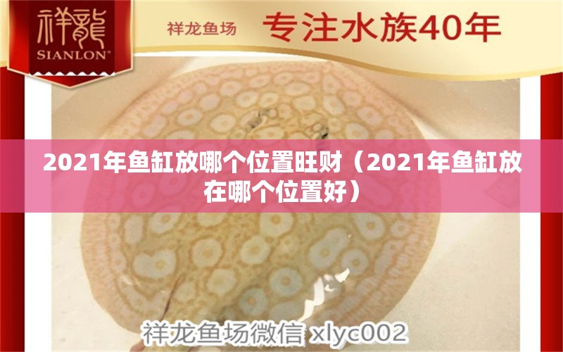 2021年鱼缸放哪个位置旺财（2021年鱼缸放在哪个位置好）