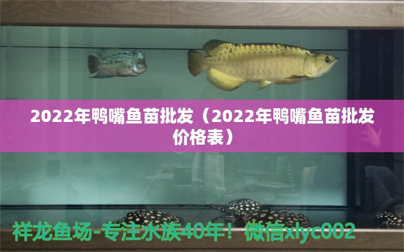 2022年鸭嘴鱼苗批发（2022年鸭嘴鱼苗批发价格表）