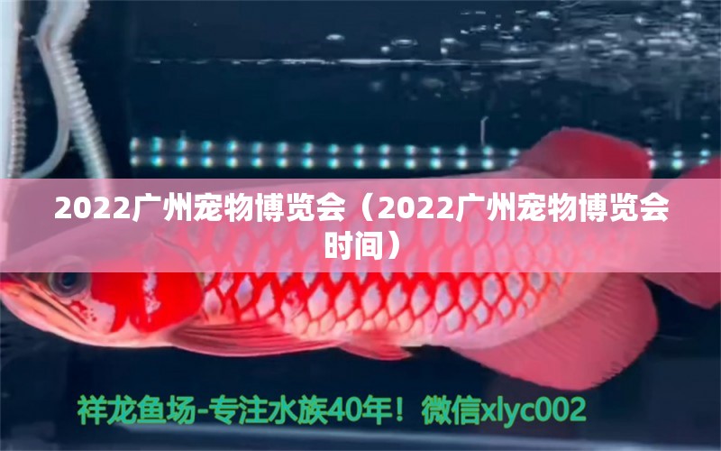 2022广州宠物博览会（2022广州宠物博览会时间）