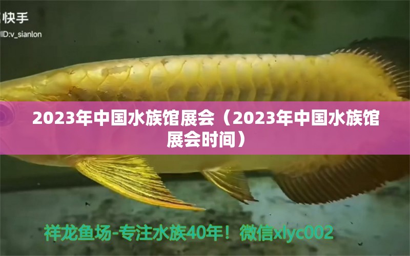 2023年中国水族馆展会（2023年中国水族馆展会时间）