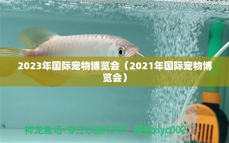 2023年国际宠物博览会（2021年国际宠物博览会）