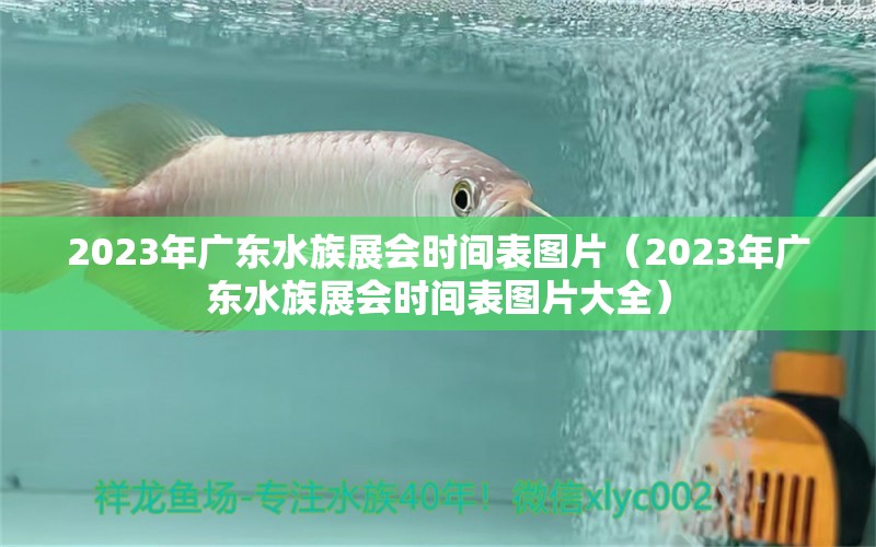 2023年广东水族展会时间表图片（2023年广东水族展会时间表图片大全）