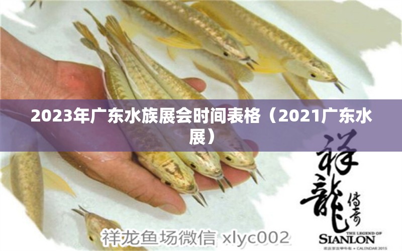 2023年广东水族展会时间表格（2021广东水展）