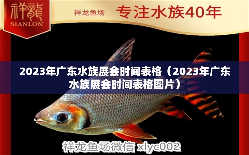 2023年广东水族展会时间表格（2023年广东水族展会时间表格图片）