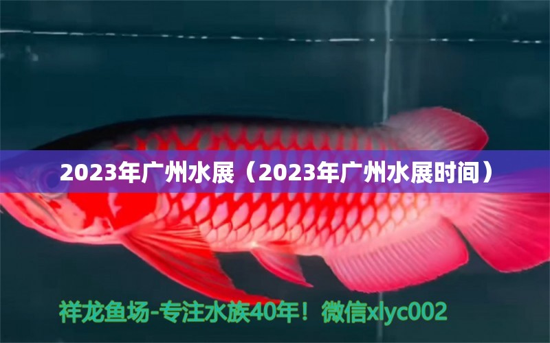 2023年广州水展（2023年广州水展时间） 广州水族批发市场