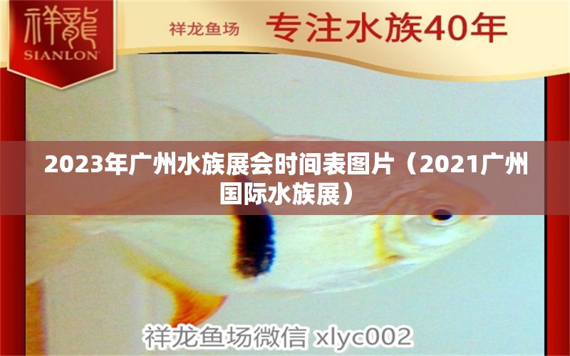 2023年广州水族展会时间表图片（2021广州国际水族展）