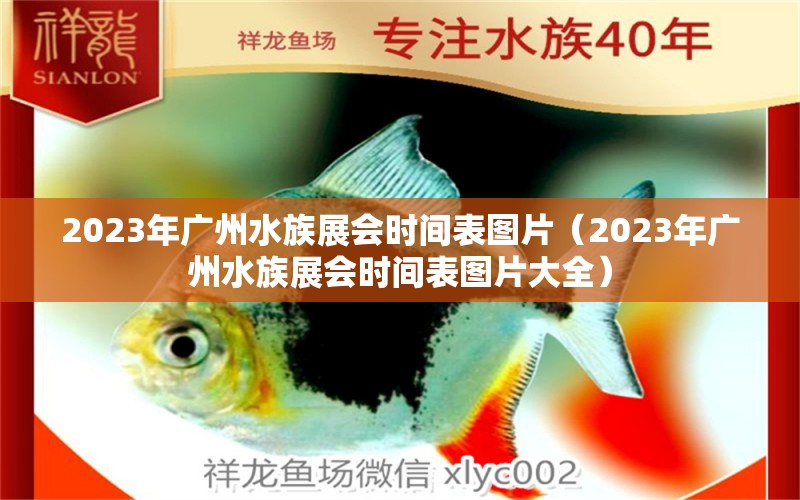 2023年广州水族展会时间表图片（2023年广州水族展会时间表图片大全）