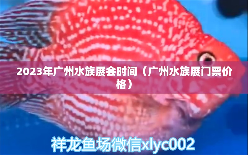 2023年广州水族展会时间（广州水族展门票价格）