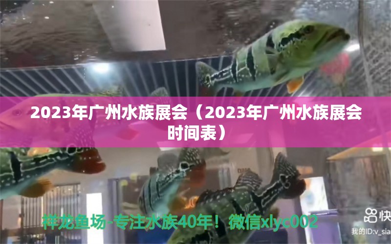 2023年广州水族展会（2023年广州水族展会时间表）