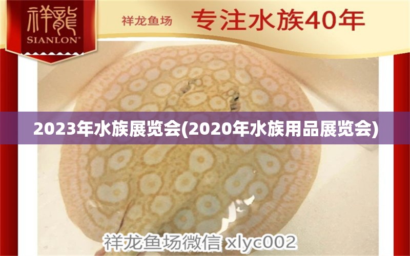 2023年水族展览会(2020年水族用品展览会) 水族展会