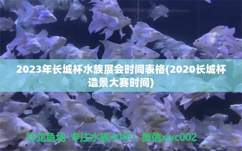 2023年长城杯水族展会时间表格(2020长城杯造景大赛时间)