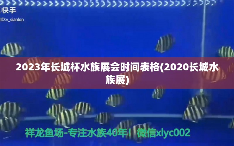 2023年长城杯水族展会时间表格(2020长城水族展)