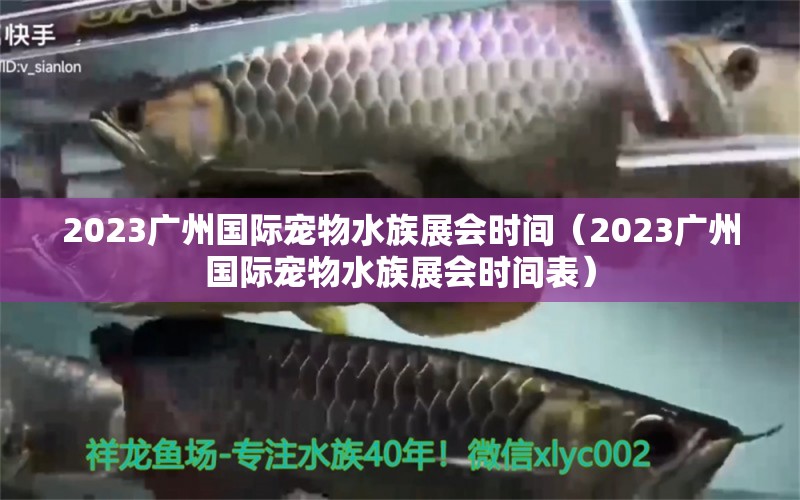 2023广州国际宠物水族展会时间（2023广州国际宠物水族展会时间表） 水族展会