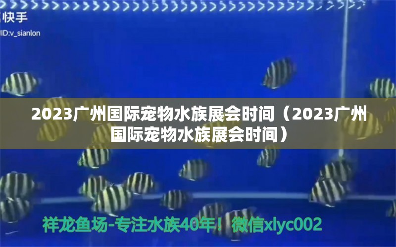 2023广州国际宠物水族展会时间（2023广州国际宠物水族展会时间）