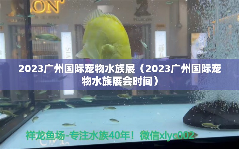 2023广州国际宠物水族展（2023广州国际宠物水族展会时间）