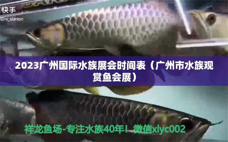 2023广州国际水族展会时间表（广州市水族观赏鱼会展） 水族展会