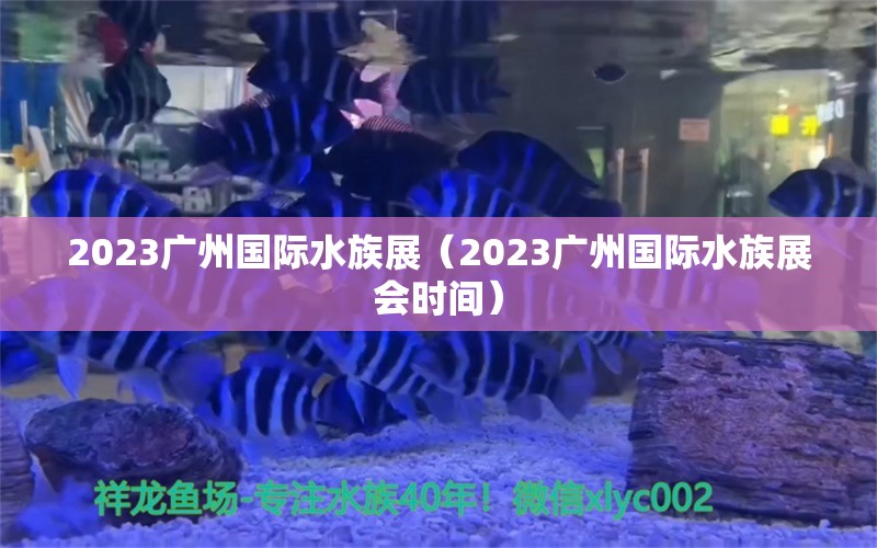 2023广州国际水族展（2023广州国际水族展会时间） 水族展会