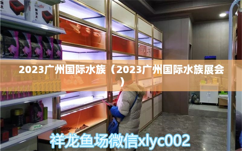 2023广州国际水族（2023广州国际水族展会）