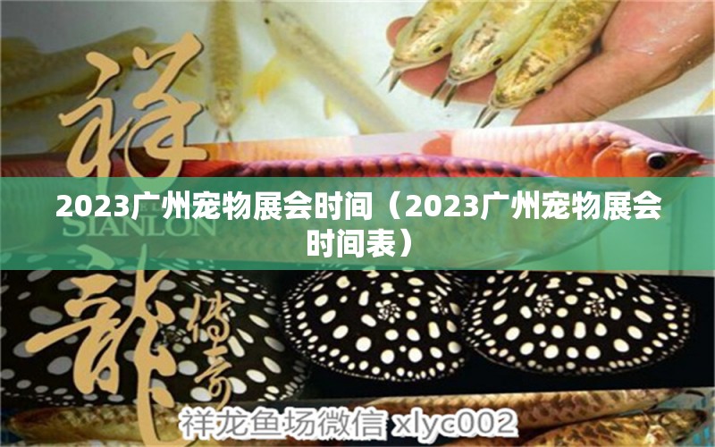 2023广州宠物展会时间（2023广州宠物展会时间表） 广州水族批发市场