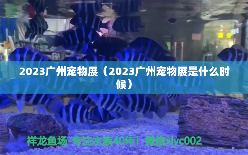 2023广州宠物展（2023广州宠物展是什么时候）