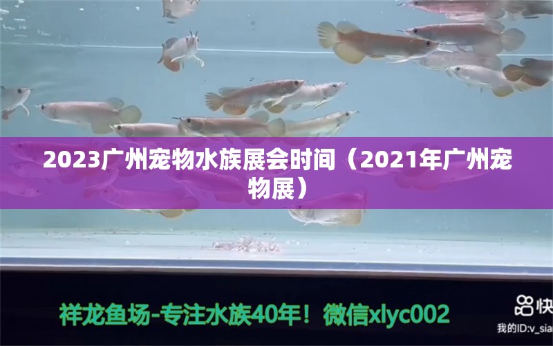 2023广州宠物水族展会时间（2021年广州宠物展）