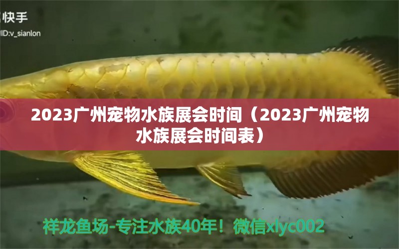 2023广州宠物水族展会时间（2023广州宠物水族展会时间表） 水族展会