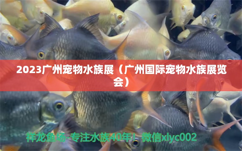 2023广州宠物水族展（广州国际宠物水族展览会）