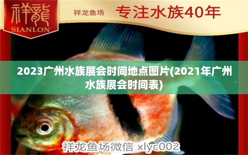 2023广州水族展会时间地点图片(2021年广州水族展会时间表)