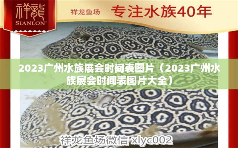 2023广州水族展会时间表图片（2023广州水族展会时间表图片大全）