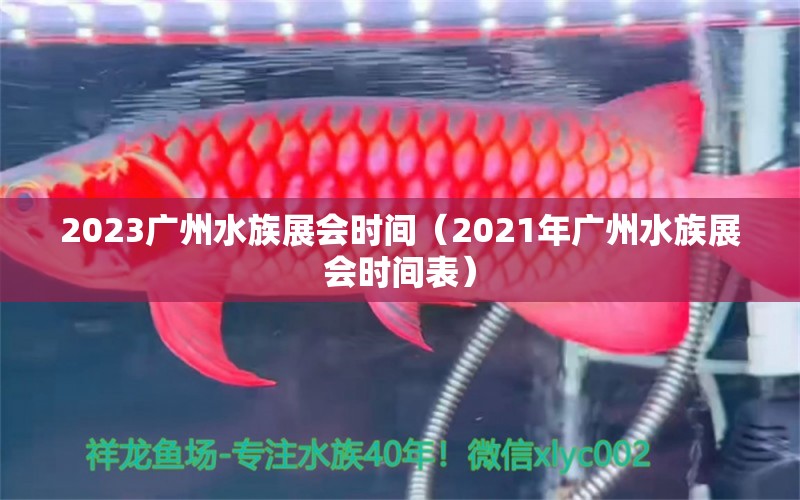 2023广州水族展会时间（2021年广州水族展会时间表）