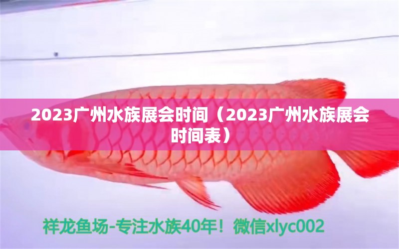 2023广州水族展会时间（2023广州水族展会时间表） 水族展会