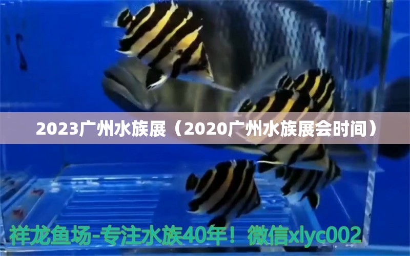 2023广州水族展（2020广州水族展会时间）