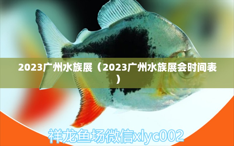 2023广州水族展（2023广州水族展会时间表）