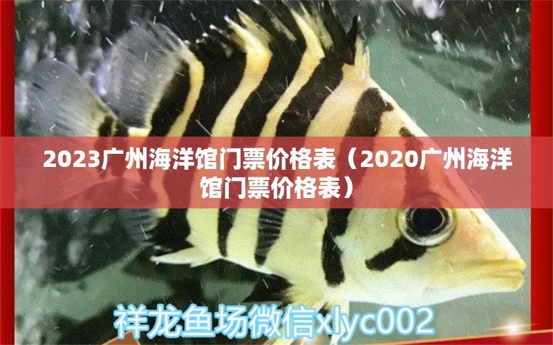 2023广州海洋馆门票价格表（2020广州海洋馆门票价格表） 观赏鱼