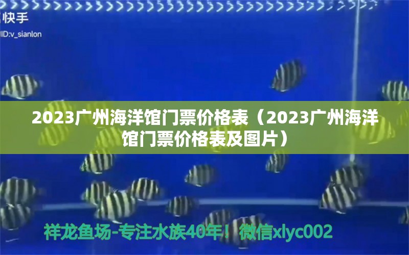 2023广州海洋馆门票价格表（2023广州海洋馆门票价格表及图片）