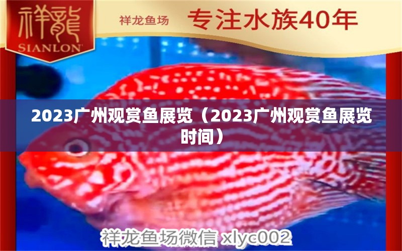 2023广州观赏鱼展览（2023广州观赏鱼展览时间）