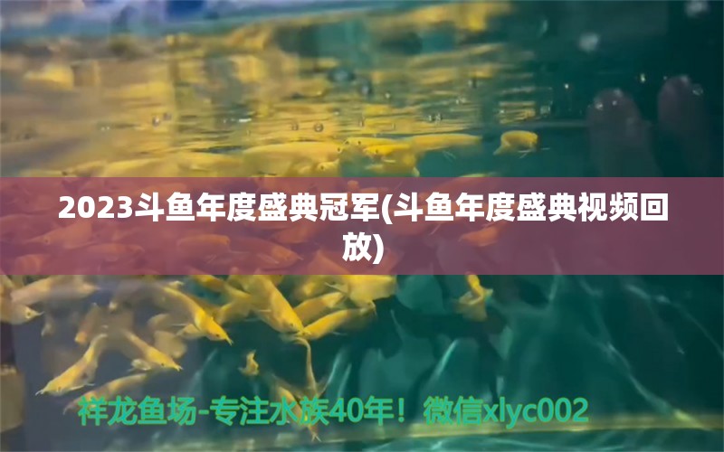 2023斗鱼年度盛典冠军(斗鱼年度盛典视频回放)