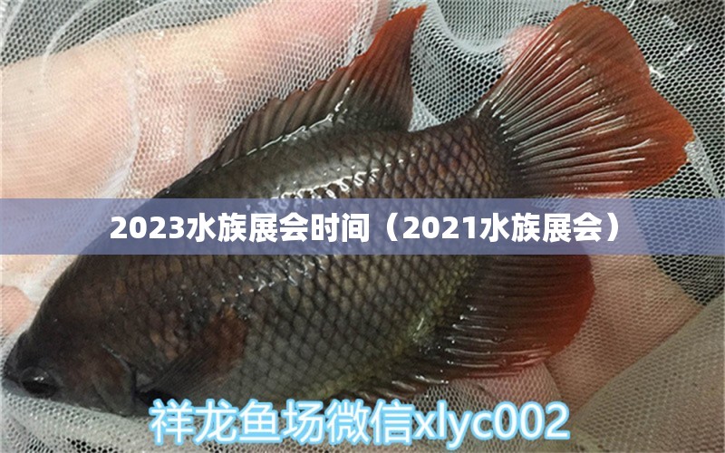 2023水族展会时间（2021水族展会）