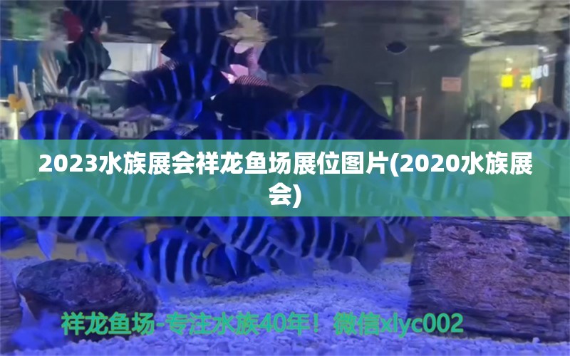 2023水族展会祥龙鱼场展位图片(2020水族展会) 水族展会