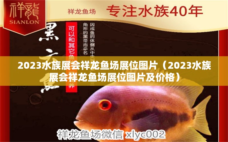 2023水族展会祥龙鱼场展位图片（2023水族展会祥龙鱼场展位图片及价格）