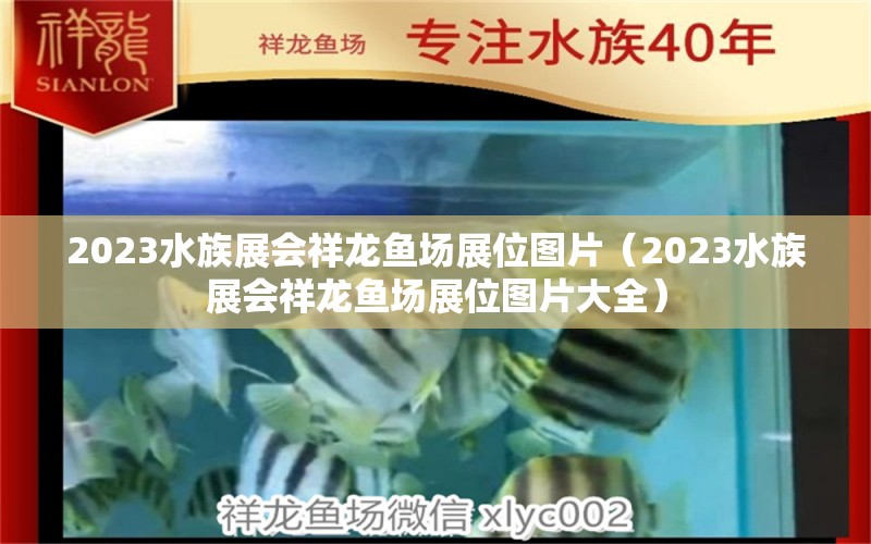 2023水族展会祥龙鱼场展位图片（2023水族展会祥龙鱼场展位图片大全）