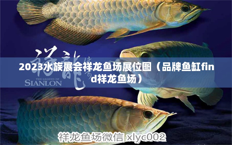 2023水族展会祥龙鱼场展位图（品牌鱼缸find祥龙鱼场） 水族展会