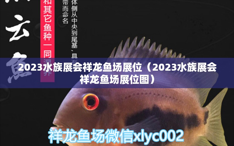 2023水族展会祥龙鱼场展位（2023水族展会祥龙鱼场展位图）