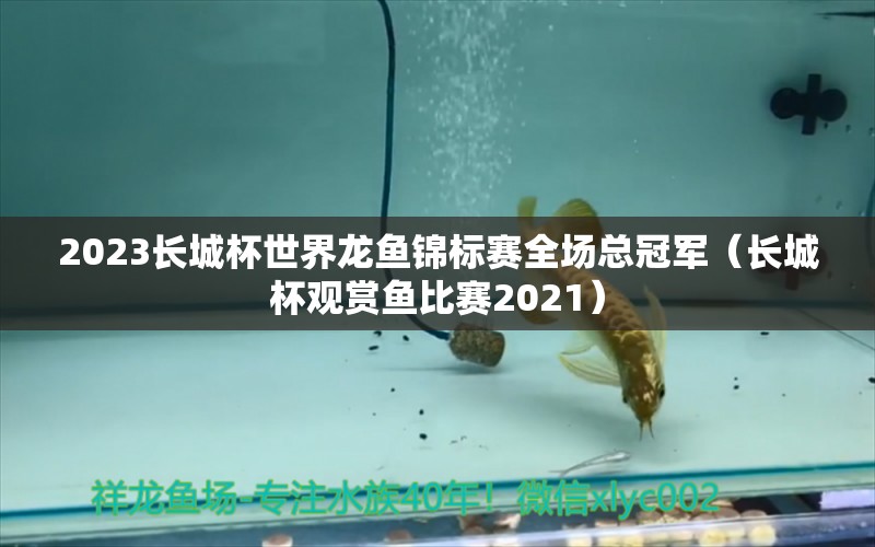 2023长城杯世界龙鱼锦标赛全场总冠军（长城杯观赏鱼比赛2021） 2024第28届中国国际宠物水族展览会CIPS（长城宠物展2024 CIPS）