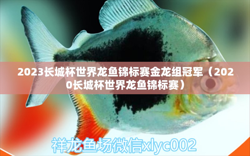 2023长城杯世界龙鱼锦标赛金龙组冠军（2020长城杯世界龙鱼锦标赛） 2024第28届中国国际宠物水族展览会CIPS（长城宠物展2024 CIPS）